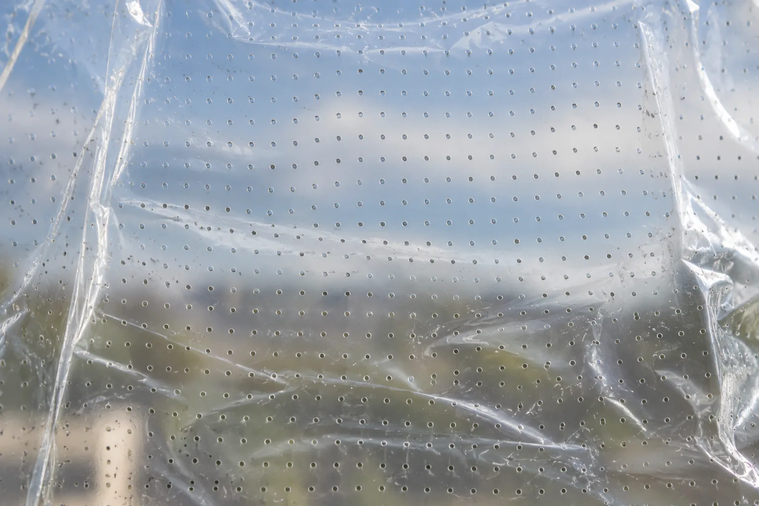 Gros plan d'un film transparent avec une grille régulière de petits trous, à la lumière du jour.